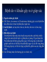 Bệnh học thủy sản : Bệnh do vi khuẩn part 8 docx