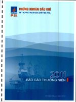 báo cáo thường niên công ty cổ phần chứng khoán dầu khí petrovietnam securities inc năm 2011