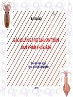 BẢO QUẢN VÀ VỆ SINH AN TOÀN SẢN PHẨM THỦY SẢN - CHƯƠNG 5 ppsx