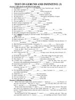 TEST ON GERUND AND INFINITIVE (3) pot