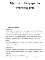 Bệnh bạch cầu nguyên bào lympho cấp tính potx