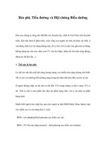 Béo phì, Tiểu đường và Hội chứng Biến dưỡng potx