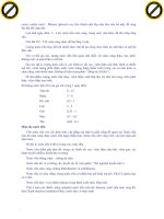 Giáo trình hướng dẫn phân tích những tế bào sợi chun ở thanh quản hệ thống tiêu hóa p8 pps