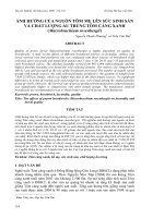 Báo cáo nghiên cứu khoa học: 