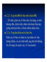 Giải phẫu bênh - Ung thư phổi và ung thư thận part 3 pdf