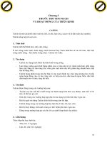 Giáo trình phân tích khả năng ứng dụng loại thuốc trị nhiễm khuẩn đường ruột đặc hiệu cho gia súc hiện nay p7 ppsx