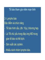 Bài giảng bệnh học viêm part 10 docx