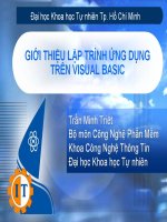 Lập trình ứng dụng trên Visual Basic ppsx
