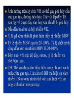 Bệnh học thủy sản : Bệnh do virus part 10 docx