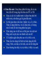 Bệnh học thủy sản : Bệnh nội ký sinh trùng part part 3 ppsx