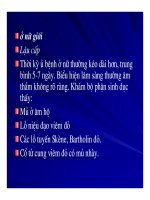 Bài giảng bệnh lậu part 4 pdf