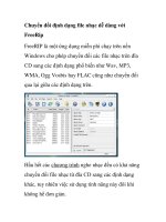 Chuyển đổi định dạng file nhạc dễ dàng với FreeRip pdf
