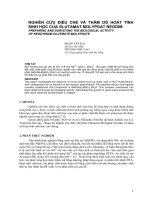 Báo cáo nghiên cứu khoa học: 