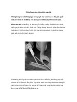 Một số mẹo sửa chữa nhỏ trong nhà pot