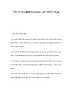 THIỆT HẠI DO TÀI SẢN GÂY THIỆT HẠI pdf