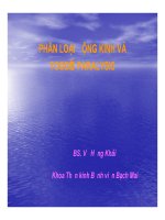 Bài giảng động kinh - Phân loại động kinh part 1 pps