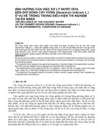 Báo cáo nghiên cứu khoa học: 