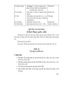 Thiết kế bài giảng âm nhạc 6 part 10 docx