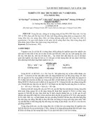 Báo cáo nghiên cứu khoa học: 