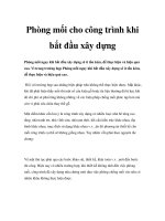 Phòng mối cho công trình khi bắt đầu xây dựng pps