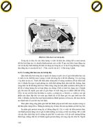 Giáo trình phân tích khả năng vận dụng cấu tạo các loại thảo dược được chế từ tuyến nội tiết của động vật p8 pdf