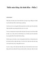 Thiếu máu hồng cầu hình liềm – Phần 2 ppt