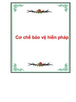 Cơ chế bảo vệ hiến pháp pptx