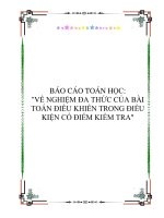 BÁO CÁO TOÁN HỌC: 