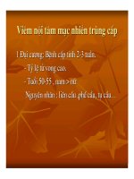 Giải phẫu bệnh - Viêm nội tâm mạc nhiễm trùng part 2 ppt