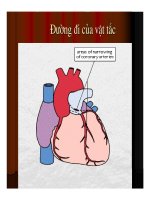 Giải phẫu bệnh - Tắc mạch ( Embolie) part 2 potx