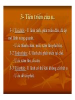 Giải phẫu bệnh - Bệnh học u part 4 pot