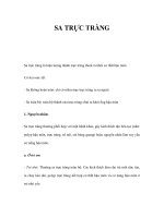 SA TRỰC TRÀNG potx