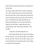 Phân biệt triệu chứng lúa bị thiệt hại do muỗi hành và sâu đục than pot