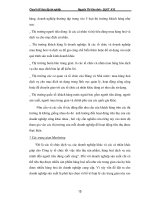 Giáo trình hướng dẫn tìm hiểu về sự hình thành của việc gắn sản xuất với thị trường của một số doanh nghiệp phần 2 pot