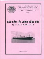 CÔNG TY cổ PHẦN vận tải và THUÊ tàu BIỂN VIỆT NAM báo cáo tài chính tổng hợp qúy III năm 2013