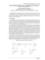 Báo cáo nghiên cứu khoa học: 