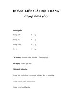 HOÀNG LIÊN GIẢI ĐỘC THANG (Ngoại đài bí yếu) docx