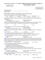 KỲ THI TỐT NGHIỆP TRUNG HỌC PHỔ THÔNG NĂM 2008 Môn thi: SINH HỌC, mã đề 902 ppsx