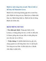 Bệnh ký sinh trùng trên cá nuôi ppsx