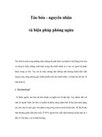 Táo bón - nguyên nhân và biện pháp phòng ngừa pdf