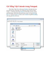 Thủ thuật Windows XP: Gõ Tiếng Việt Unicode trong Notepad docx