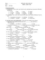 KIỂM TRA HKI NĂM 2011 MÔN: ANH VĂN ppsx