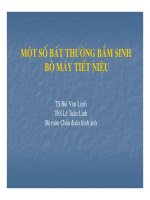Bài giảng một số bất thường bẩm sinh bộ máy tiết niệu part 1 pdf