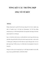 TỔNG KẾT CÁC TRƯỜNG HỢP ONG VÒ VẼ ĐỐT pot