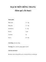 MẠCH MÔN ĐÔNG THANG (Kim quỹ yếu lược) pot