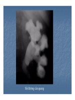 Bài giảng triệu chứng học hình ảnh hệ tiết niệu part 5 pptx