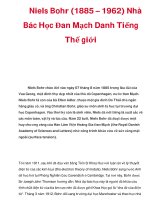 Niels Bohr (1885 – 1962) Nhà Bác Học Đan Mạch Danh Tiếng Thế giới docx