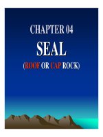 ĐỊA CHẤT DẦU KHÍ ( PETROLEUM GEOLOGY ) - CHƯƠNG 4 potx