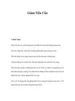 Giảm Tiểu Cầu docx