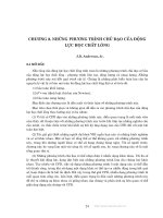 Động lực học chất lỏng tính toán - Chương 2 ppsx